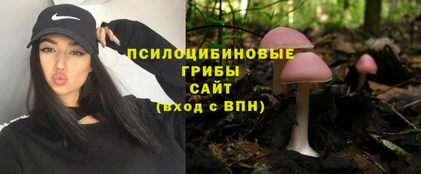 СК Богданович