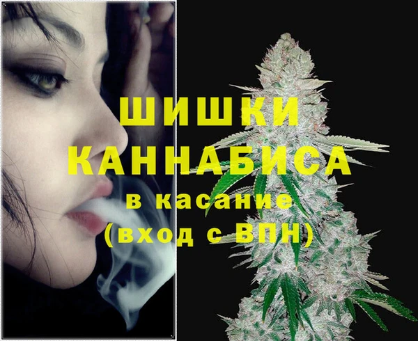 индика Бородино