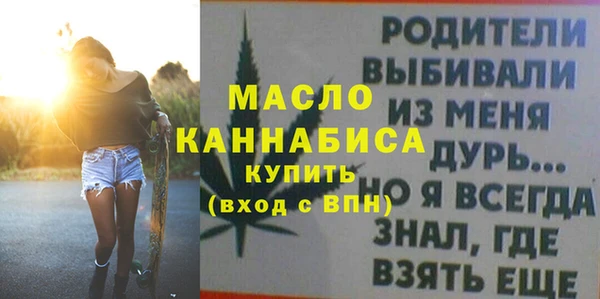 индика Бородино