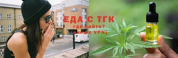 индика Бородино