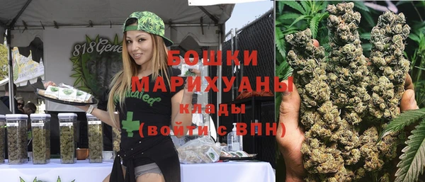 индика Бородино