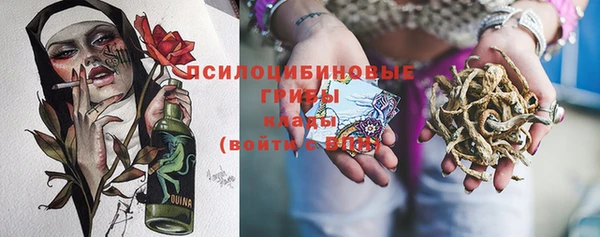 PSILOCYBIN Богородск