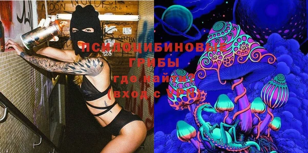 СК Богданович