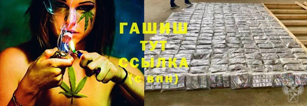 индика Бородино