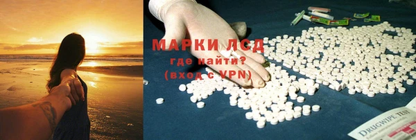 индика Бородино